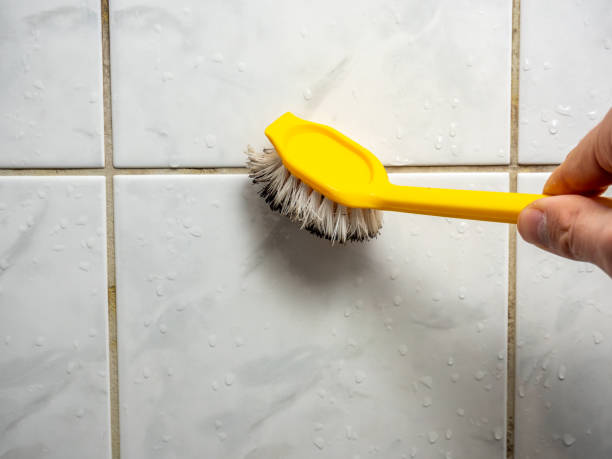 Best Black Mold Remediation in Nampa, ID